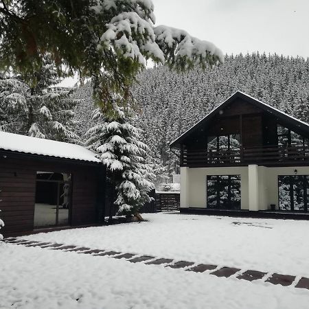 Berghaus Bukovel Villa Buitenkant foto